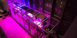 Week 4 - Applying Computer Science to Food Computers